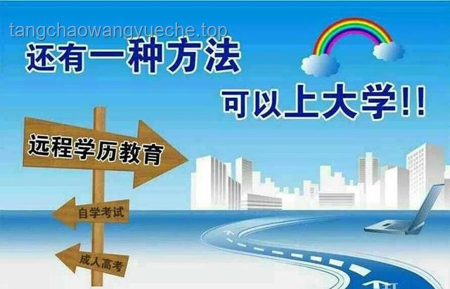 风暴中的哈佛大学：教育变革下的领航者之路