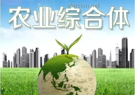 🌿三角洲行动：林树对决中的艺术创新战略