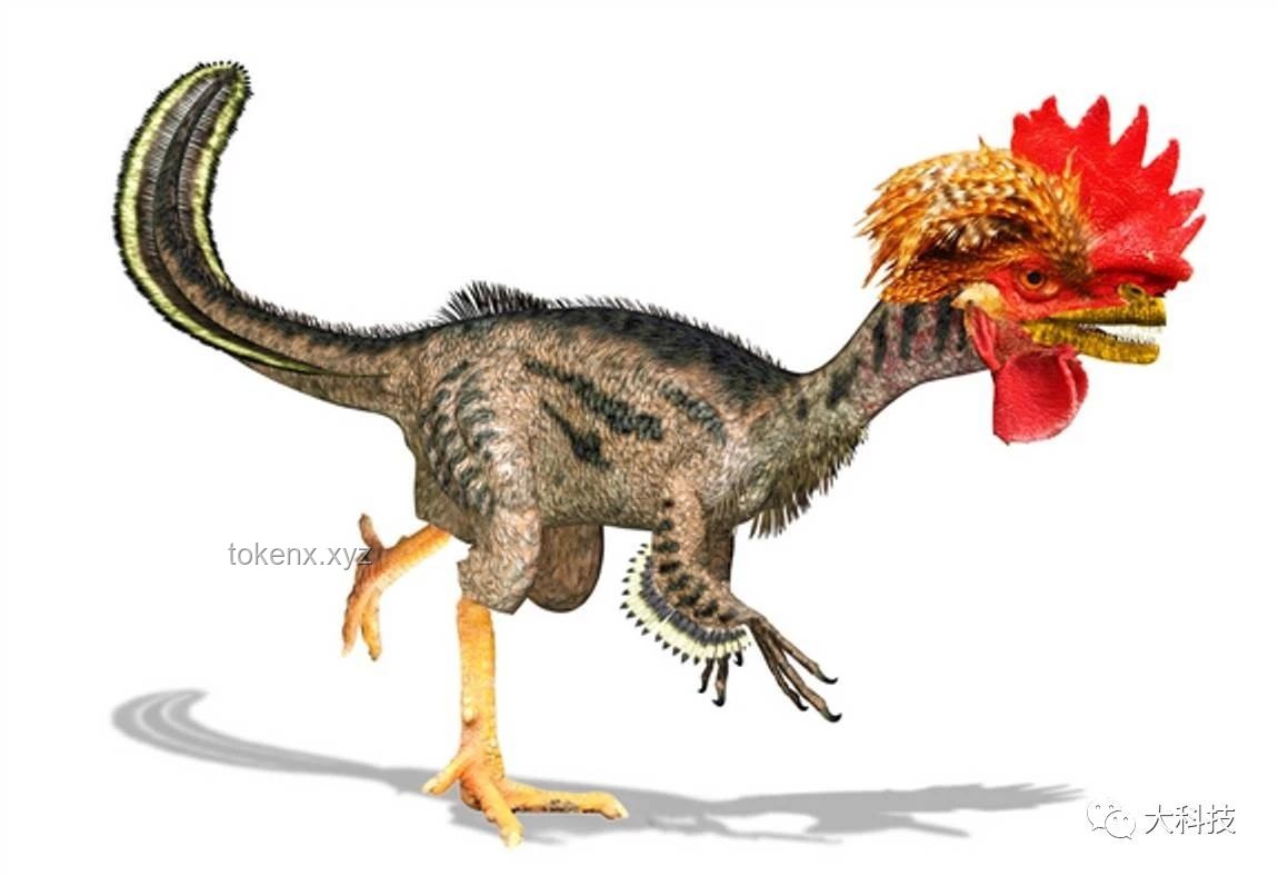 **🦖鸡与恐龙：穿越时空的遗传密码🔍**