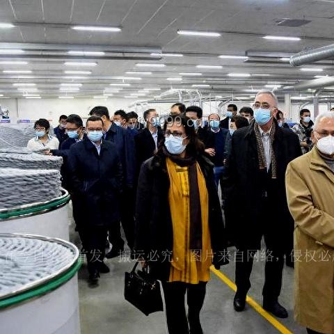 2025年最假言论趋势预测：谎言的新形态与辨识策略