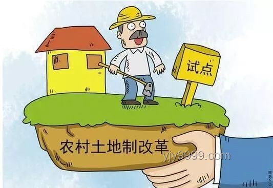 10后小学生教育趋势：乡村助教视角下的变革与前瞻