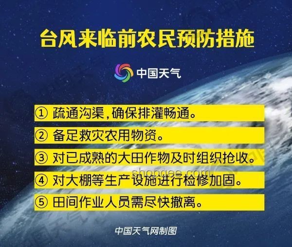 今年第1号台风已生成：应对方案与预防措施