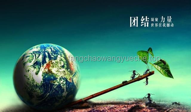 网文设定哲学：质量VS数量，强者独步or蚁群逆袭？
