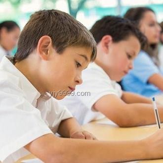 教育部拟设大湾区大学等10所本科高校，报考攻略与特色解析🔍