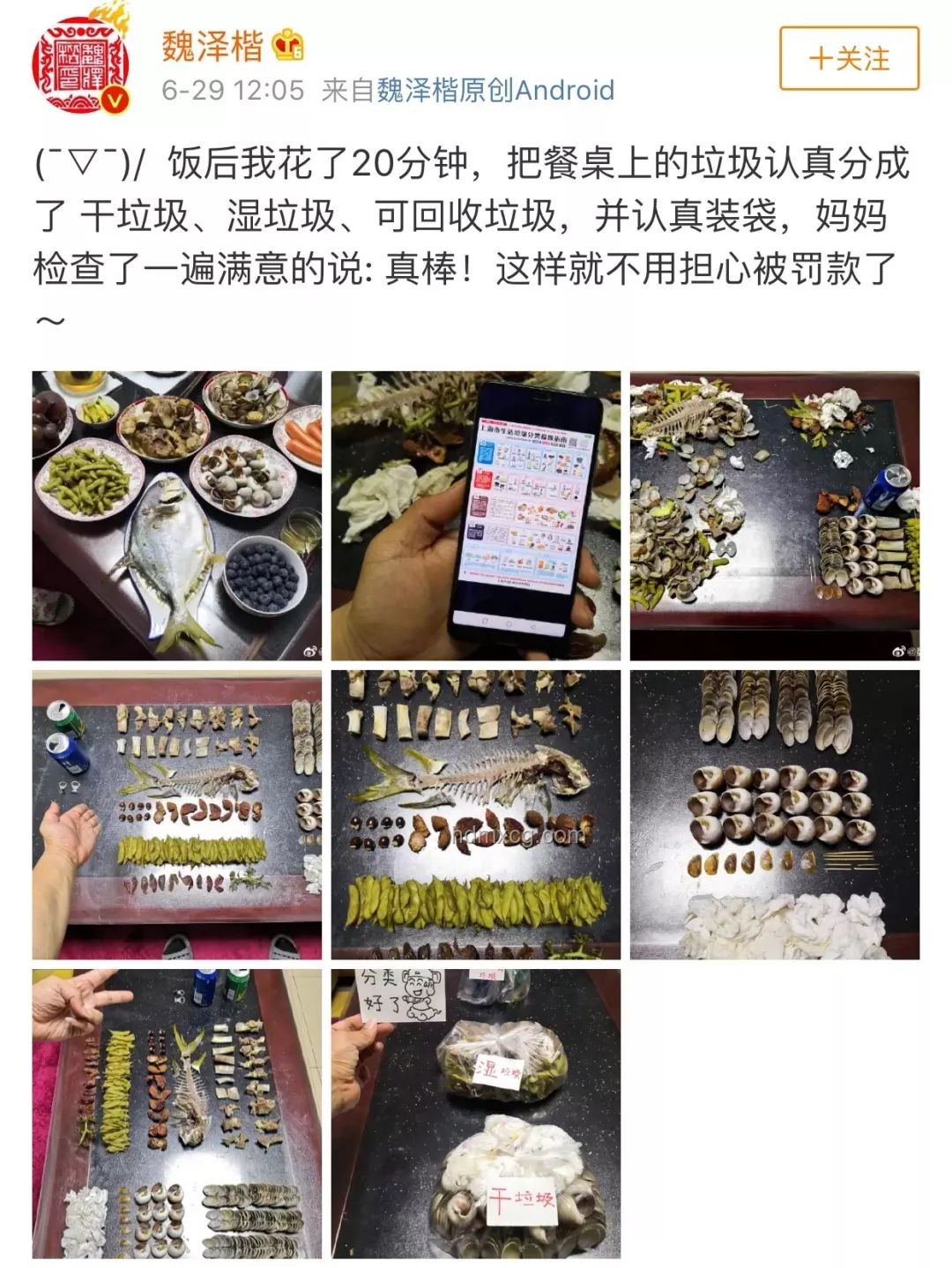 1.9元拼好饭爆火背后的实用指南