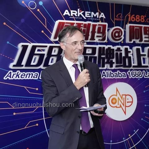阿里巴巴电商平台数字化转型案例研究：大数据驱动增长
