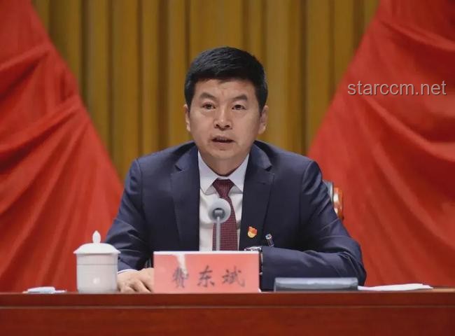 国家铁路局局长费东斌被查事件解析