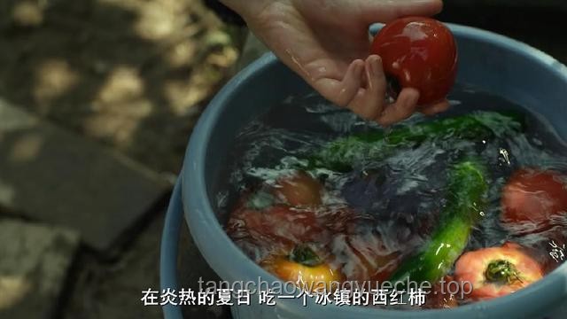又见马茹子：记忆中的野味与现代生活的邂逅