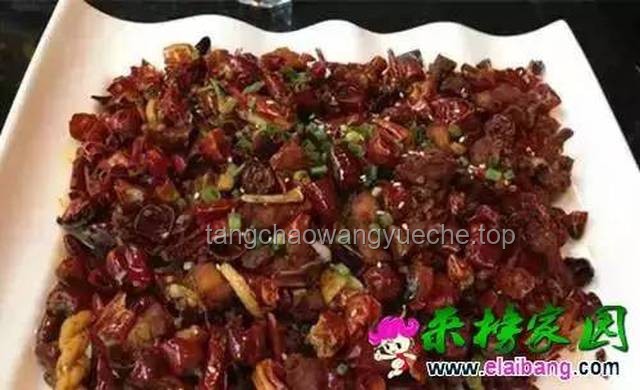 又见马茹子：记忆中的野味与现代生活的邂逅