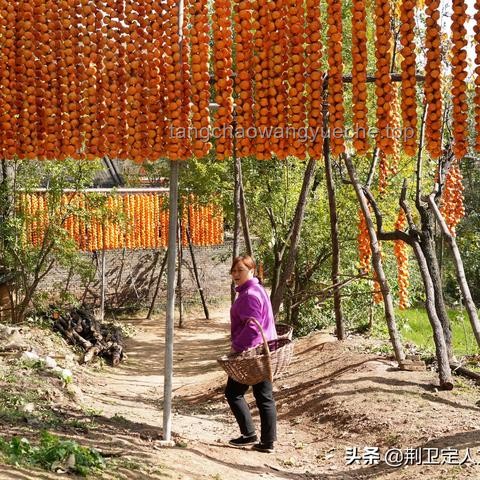 如何高效模仿不同地区美食剧氛围，应对忙碌拍摄日？