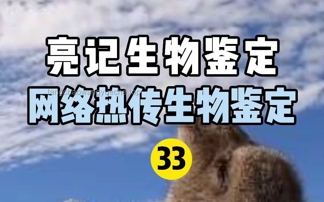 网络热传生物鉴定54：揭秘生物多样性与基因技术前沿
