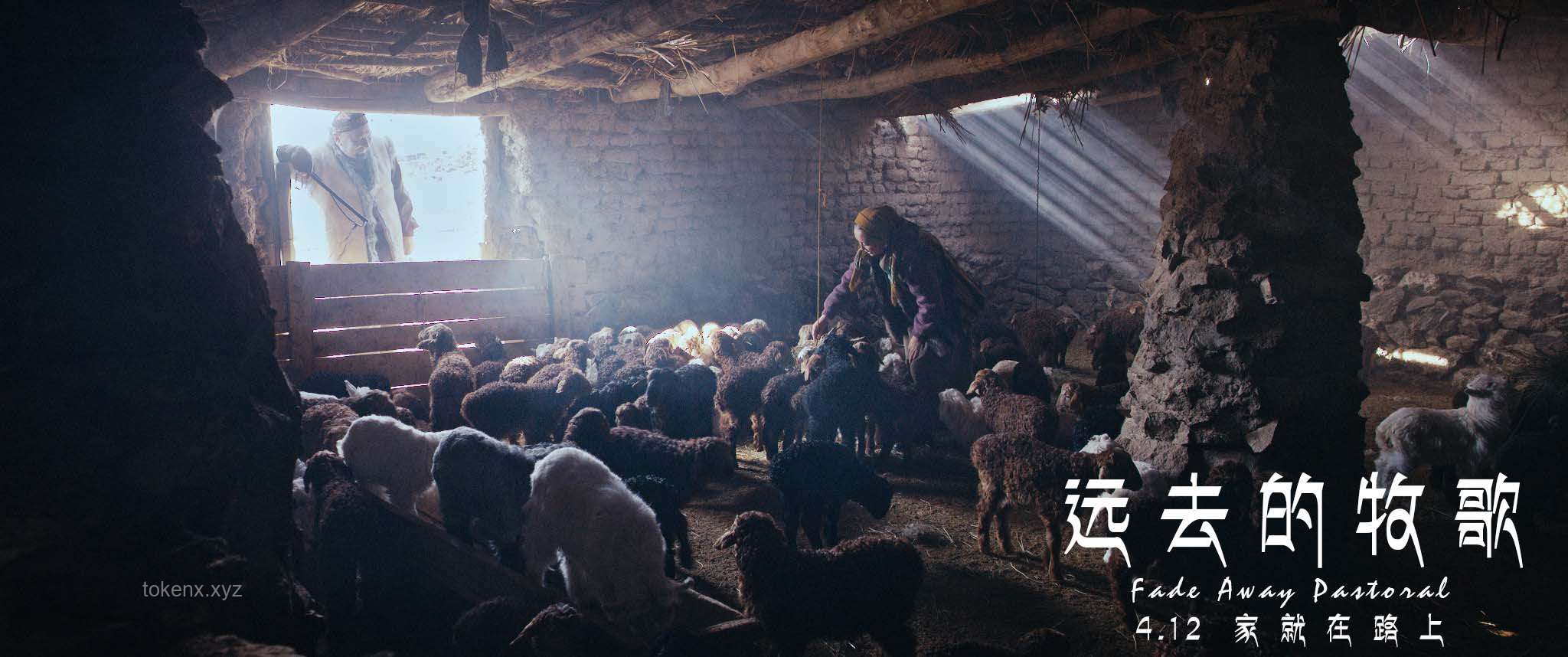 死亡：生命迁徙的终极诠释——从家庭结构变迁的视角深度解析