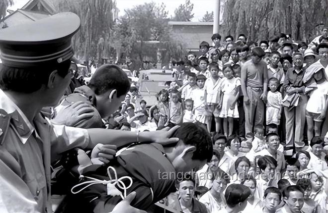 “陕西版孙小果”获死刑，严打“纸面服刑”成未来趋势