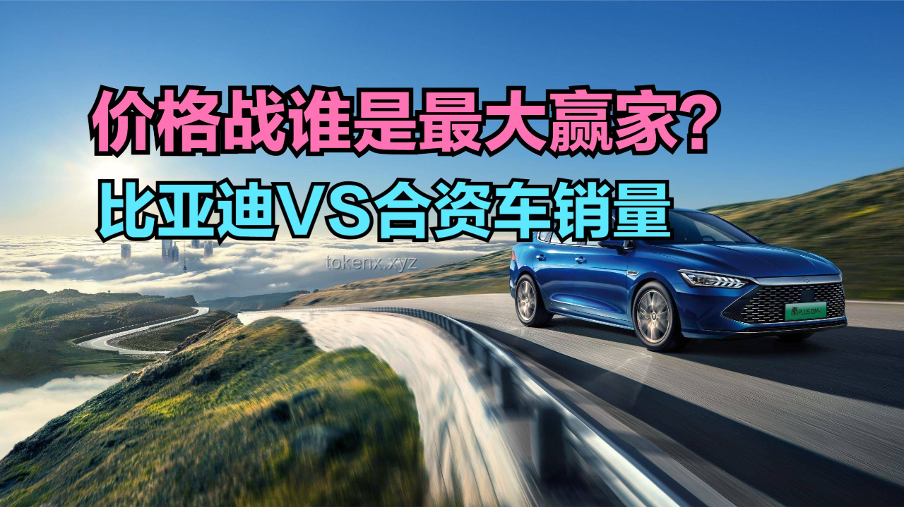 **比亚迪“绝招”出击：市场压力下的价格战策略对比**