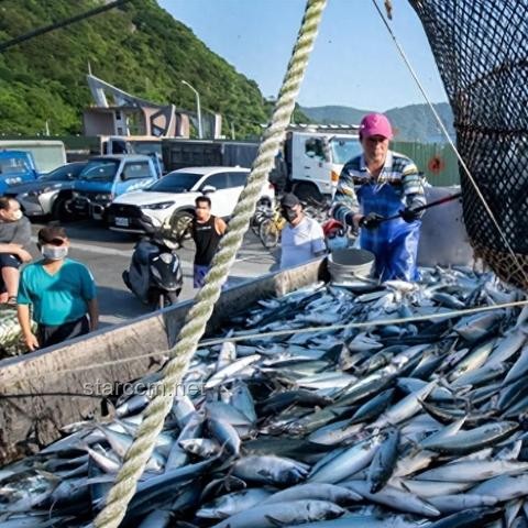 全球已掌握独立建造第三代核电站技术的国家对比分析：技术实力、优缺点与适用场景