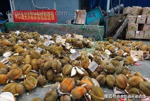 天价垃圾变废为宝指南：榴莲虫、发霉盐等别再扔！
