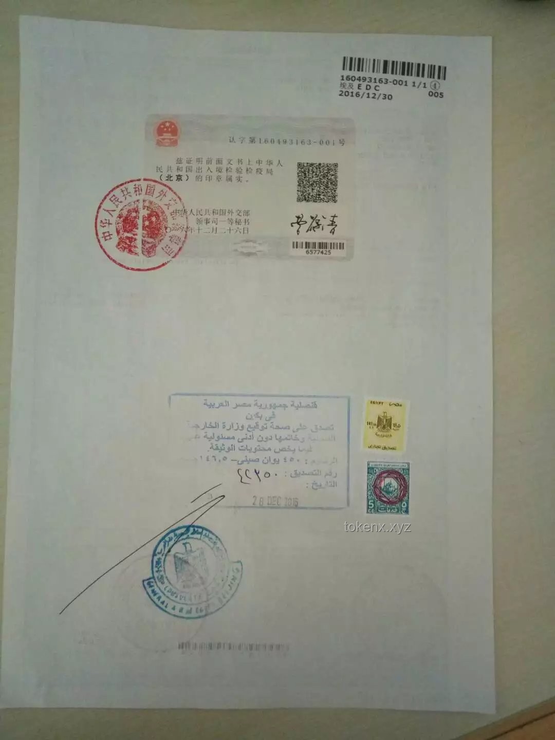 德美奇缘：出生证明复印件背后的创新思维外交