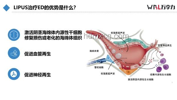 韦神牙周炎启示：从健康到创新的跨界思维