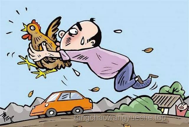 游客被打副所长拉偏架被免职：公正何在？