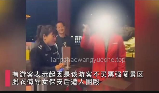 游客被围殴事件：文旅局责任与严打暴行的对比分析