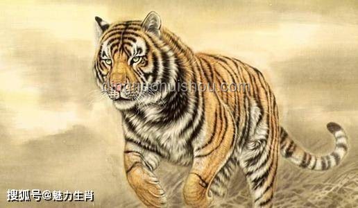 化龙未竟，创新思维“鲤”跃龙门