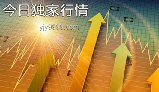 定格治愈系瞬间：未来出片神器趋势预测