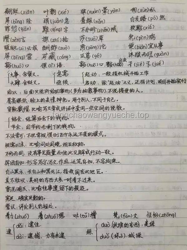 烧烤花香：高考情感慰藉的创新表达
