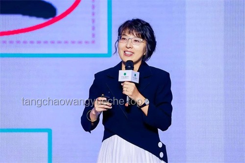 B站崩了？创新思维下的数字生态韧性构建