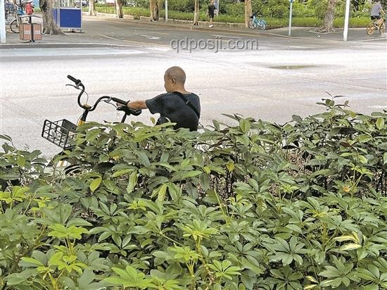 广东启动防风Ⅳ级应急响应案例分析