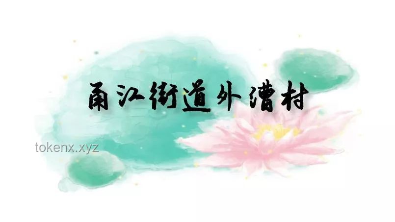 清北之路：我在清北的人脉如何助力你梦想成真